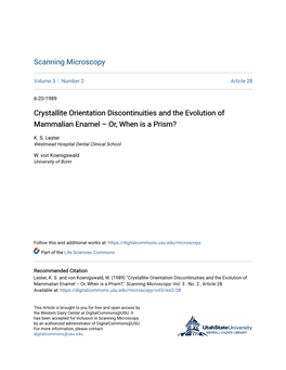 Crystallite Orientation Discontinuities and the Evolution of Mammalian Enamel – Or, When Is a Prism?