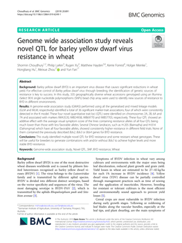 Genome Wide Association Study Reveals Novel QTL for Barley Yellow