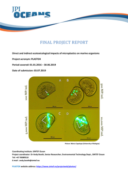 Final Project Report