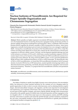 Nuclear Isoforms of Neurofibromin Are Required for Proper Spindle Organization and Chromosome Segregation