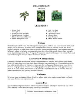 PHILODENDRON Araceae Characteristics Culture Noteworthy