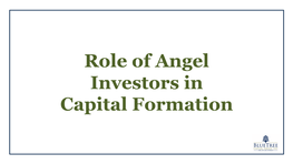 Role of Angel Investors in Capital Formation Who Are Angel Investors?