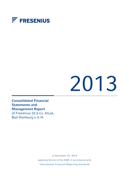 2013 Consolidated Financial Statement and Management Report