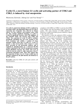 Cyclin E2, a Novel Human G1 Cyclin and Activating Partner of CDK2 and CDK3, Is Induced by Viral Oncoproteins