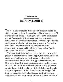 The Tooth Gets Short Shrift in Anatomy Class: We Spend All of Five Minutes on It