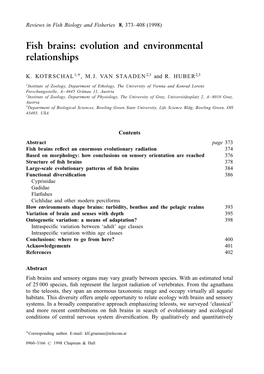 Fish Brains: Evolution and Environmental Relationships