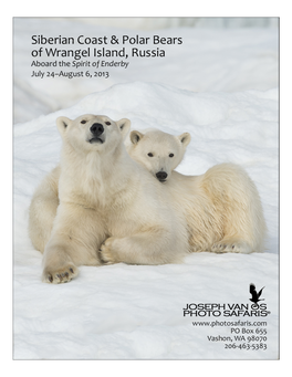 Siberian Coast & Polar Bears of Wrangel Island, Russia