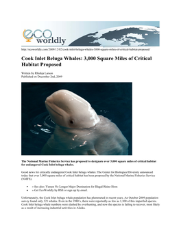 Cook Inlet Beluga Whales: 3,000 Square Miles of Critical Habitat Proposed