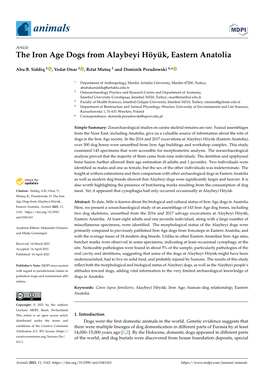 The Iron Age Dogs from Alaybeyi Höyük, Eastern Anatolia