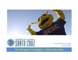 The UC Santa Cruz Budget – a Bird's Eye View
