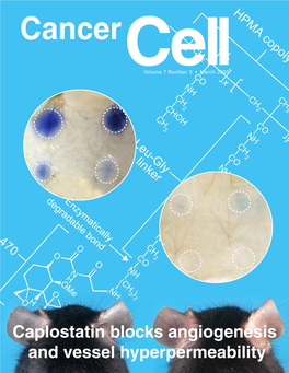 Inhibition of Vessel Permeability by TNP-470 and Its Polymer Conjugate, Caplostatin