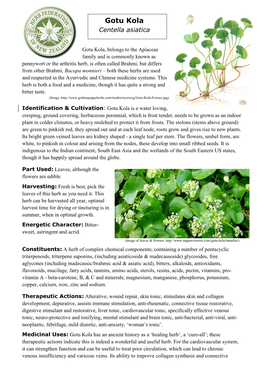 Gotu Kola Centella Asiatica