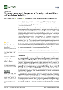 Electroantennographic Responses of Cerambyx Welensii Küster to Host-Related Volatiles