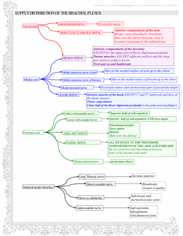 Supply Distribution of the Brachial Plexus