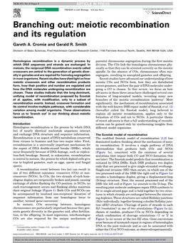 Branching Out: Meiotic Recombination and Its Regulation