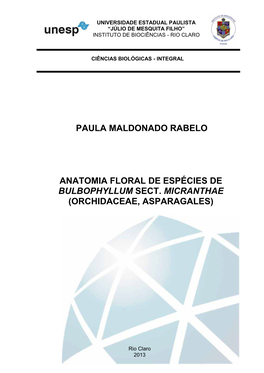 Paula Maldonado Rabelo Anatomia Floral De Espécies