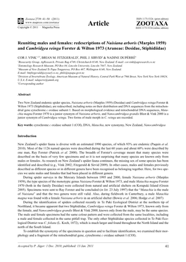 Redescriptions of Nuisiana Arboris (Marples 1959) and Cambridgea Reinga Forster & Wilton 1973 (Araneae: Desidae, Stiphidiidae)