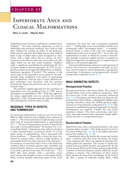 Imperforate Anus and Cloacal Malformations Marc A