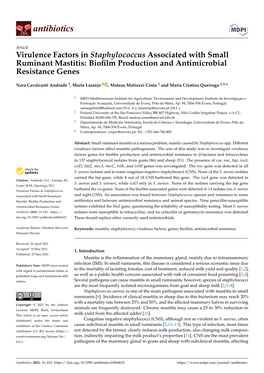 Virulence Factors in Staphylococcus Associated with Small Ruminant Mastitis: Bioﬁlm Production and Antimicrobial Resistance Genes