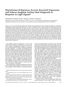 Phytochrome B Represses Teosinte Branched1 Expression and Induces Sorghum Axillary Bud Outgrowth in Response to Light Signals1