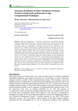 Structure Prediction of Outer Membrane Protease Protein of Salmonella Typhimurium Using Computational Techniques