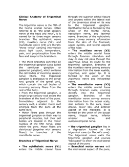 Clinical Anatomy of the Trigeminal Nerve