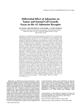 Focus on the A3 Adenosine Receptor