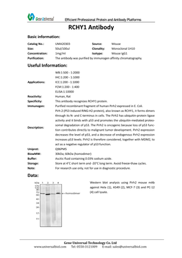 RCHY1 Antibody