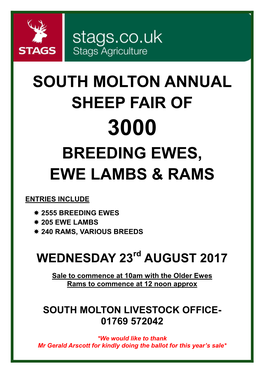 South Molton Annual Sheep Fair of Breeding Ewes, Ewe Lambs & Rams