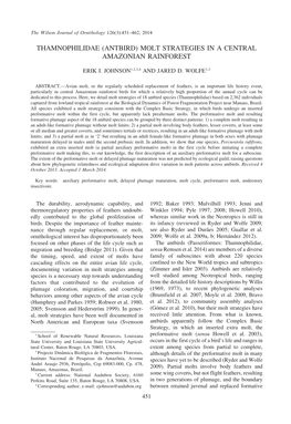 (Antbird) Molt Strategies in a Central Amazonian Rainforest