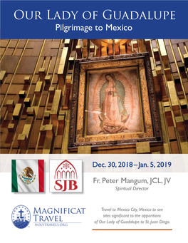 Our Lady of Guadalupe Pilgrimage to Mexico