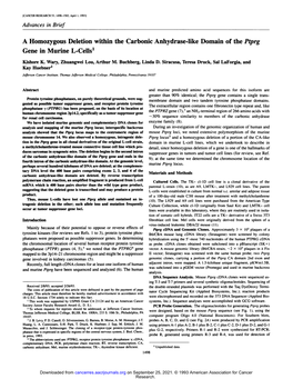 A Homozygous Deletion Within the Carbonic Anhydrase-Like Domain of the Ptprg Gene in Murine L-Cells1