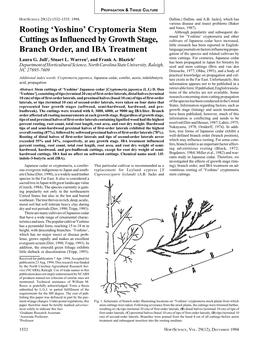 Rooting 'Yoshino' Cryptomeria Stem Cuttings As Influenced by Growth