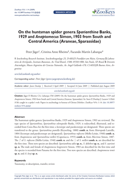 On the Huntsman Spider Genera Sparianthina Banks, 1929 and Anaptomecus Simon, 1903 from South and Central America (Araneae, Sparassidae)