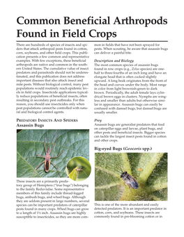 E0020 Common Beneficial Arthropods Found in Field Crops