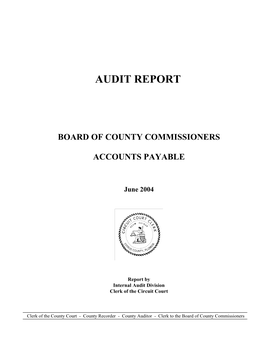 Audit Report