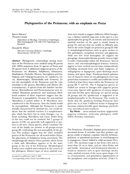 Phylogenetics of the Pezizaceae, with an Emphasis on Peziza