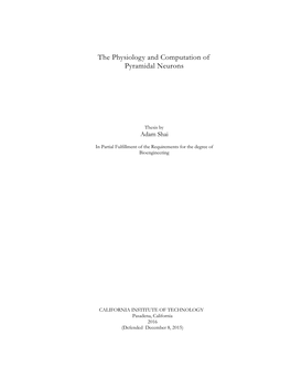 The Physiology and Computation of Pyramidal Neurons