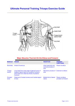 Triceps Exercises.Pdf