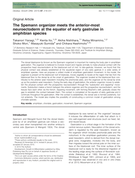 The Spemann Organizer Meets the Anterior&#X2010