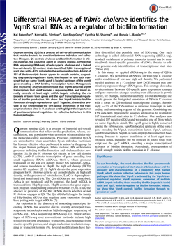 Differential RNA-Seq of Vibrio Cholerae Identifies the Vqmr Small RNA As a Regulator of Biofilm Formation