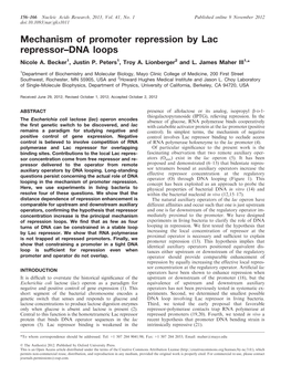 Mechanism of Promoter Repression by Lac Repressor–DNA Loops Nicole A