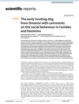 The Early Hunting Dog from Dmanisi with Comments on the Social