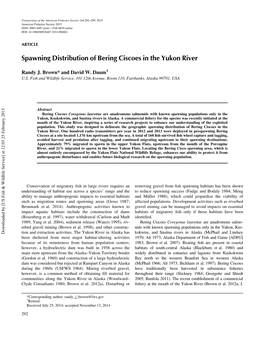 Spawning Distribution of Bering Ciscoes in the Yukon River