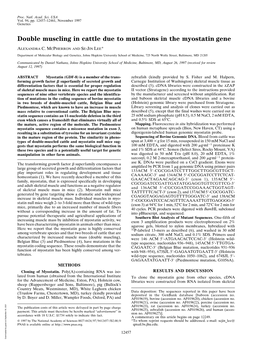 Double Muscling in Cattle Due to Mutations in the Myostatin Gene