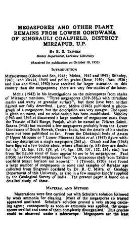 Megaspores and Other Plant Remains from Lower Gondwana of Singrauli Coalfield, District Mirzapur, U.P
