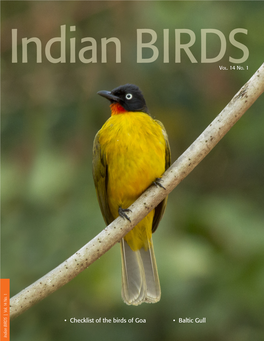• Checklist of the Birds of Goa • Baltic Gull Indian BIRDS Indian BIRDS Vol