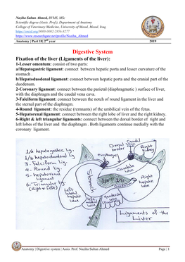 Digestive System