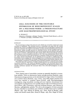 Cell Junctions in the Excitable Epithelium of Bioluminescent Scales on a Polynoid Worm: a Freeze-Fracture and Electrophysiological Study