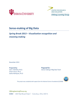 Sense-Making of Big Data